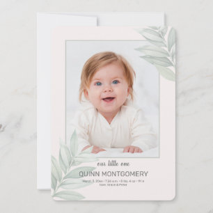 Anúncio de Nascimento da Foto do Quadro Natureza