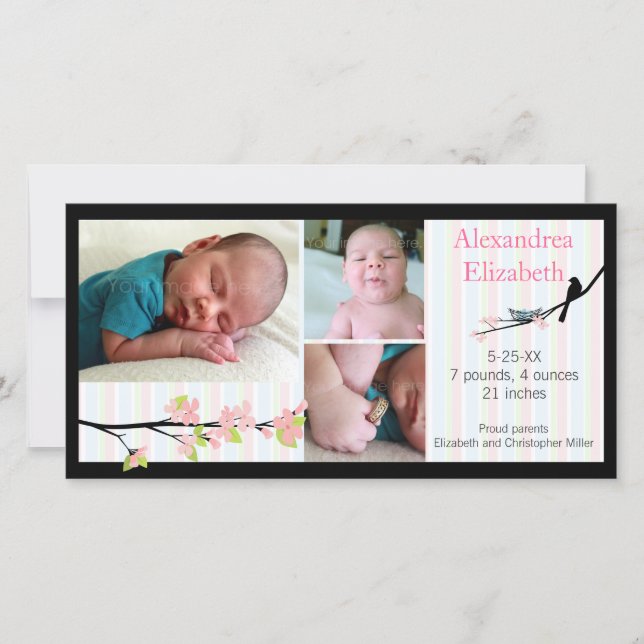 Anúncio de nascimento de Pássaros e Blossomas em F (Frente)