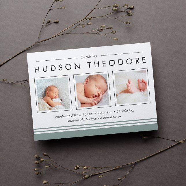 Anúncio de Nascimento de Stripe do Metro | Moss (Criador carregado)