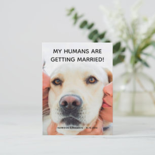 Anúncio de noivado Foto personalizada de cachorro 
