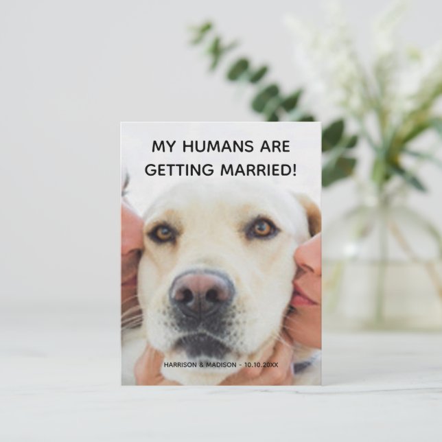 Anúncio de noivado Foto personalizada de cachorro  (Em pé/Frente)