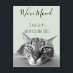 Anúncio de novo endereço da Cat Funny<br><div class="desc">Este design foi criado através da arte digital. Pode ser personalizado na área fornecer ou personalizar escolhendo o clique para personalizar mais opções e alterando o nome, as iniciais ou as palavras. Você também pode alterar a cor e o estilo do texto ou excluir o texto de um design de...</div>