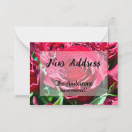 Anúncio de Novo Endereço do Rosa vermelha