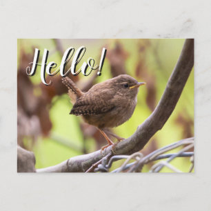 Anúncio de Novo Endereço Vizinho Editável Hello Ne