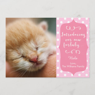 Anúncio de Novo Furbaby cor-de-rosa