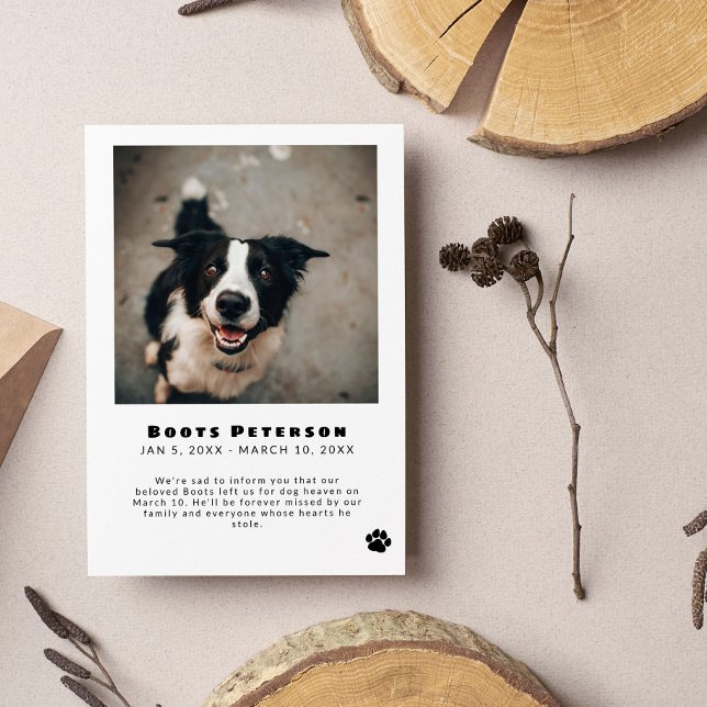 Anúncio de perda de foto de Pawprint Preto (Criador carregado)