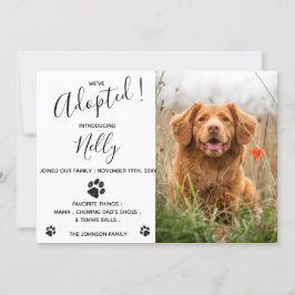 Anúncio de Pet de Gato-Cão