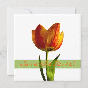 Anúncio de Salve a Data de Casamento Tulipa Laranj