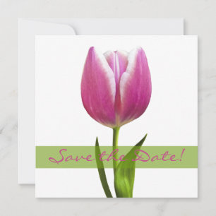 Anúncio de Save the Date de Casamento Tulipa Rosa