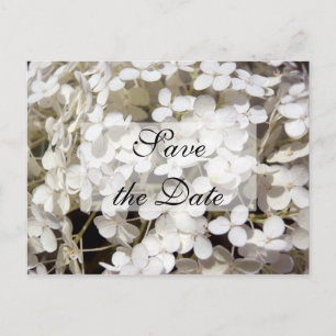 Anúncio de Save the Date de Hortênsia Branca