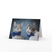 Debonair Cats em Bowties