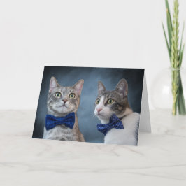 Anúncio Debonair Cats em Bowties