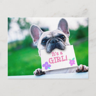 Anúncio do bebé com costume do cão