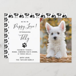 Anúncio do Cachorro Pet Puppy