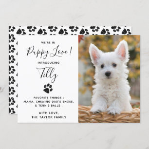 Anúncio do Cachorro Pet Puppy