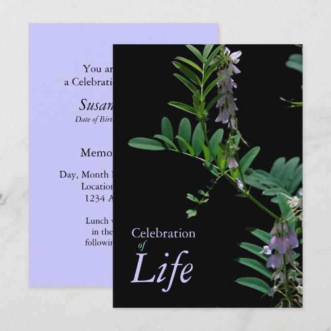 Anúncio do Funeral de Celebração do Indigo 2 (Frente/Verso)