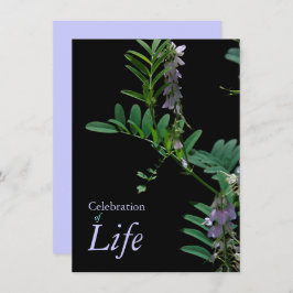 Anúncio do Funeral de Celebração do Indigo 2