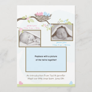 Anúncio do nascimento dos gêmeos - bebé & menina