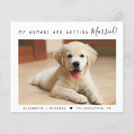 Anúncio do Noivado de Orçamento de Foto Pet