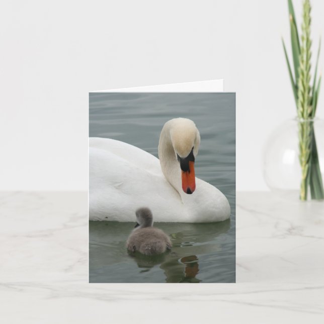 Anúncio do Swan Baby (Frente)