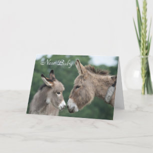 Anúncio Donkey new baby card