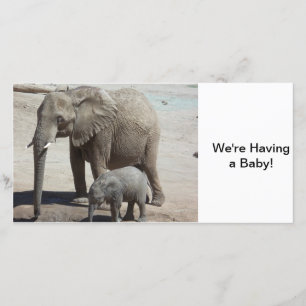 Anúncio Elefante do bebê com mamães