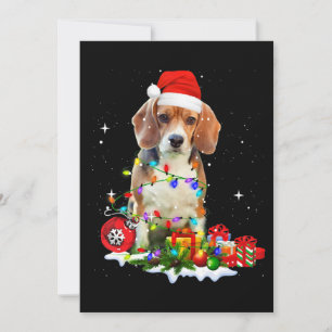 Anúncio Engraçado Cachorro De Natal Para Cachorro Pai Mãe