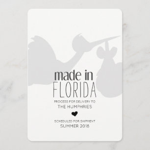 Anúncio engraçado da gravidez da entrega da