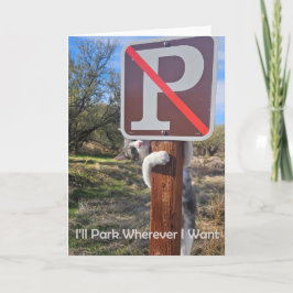 Anúncio Estacionarei onde eu quiser para o Notecard