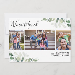 Anúncio Eucalyptus Foto: Mudamos de Endereço