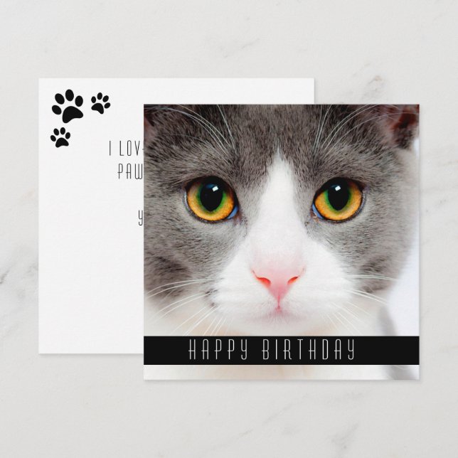 Anúncio Feliz Aniversário Deseja Gatos (Frente/Verso)