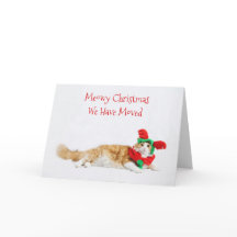 Feliz Natal de Gato Engraçado Movendo Novo Endereç