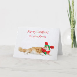 Anúncio Feliz Natal de Gato Engraçado Movendo Novo Endereç