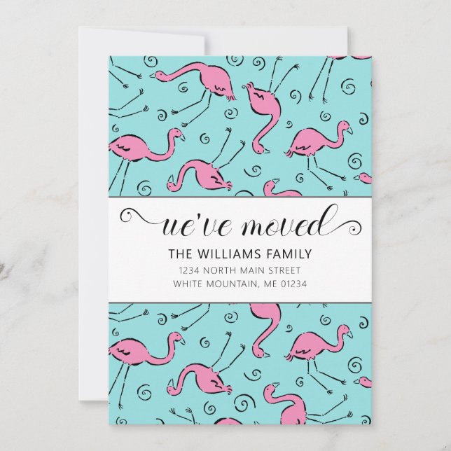 Anúncio Flamingo Rosa Tropical em Movimento Aqua (Frente)