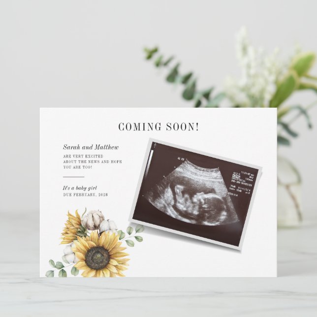 Anúncio Floral de Girassol Eucalipto Sonograma Refeição do (Em pé/Frente)