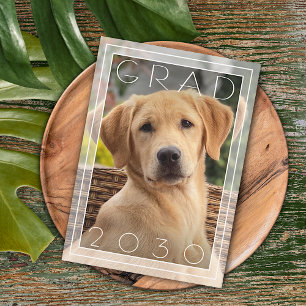 Anúncio Formatura da Escola de Cães Divertida Personalizad