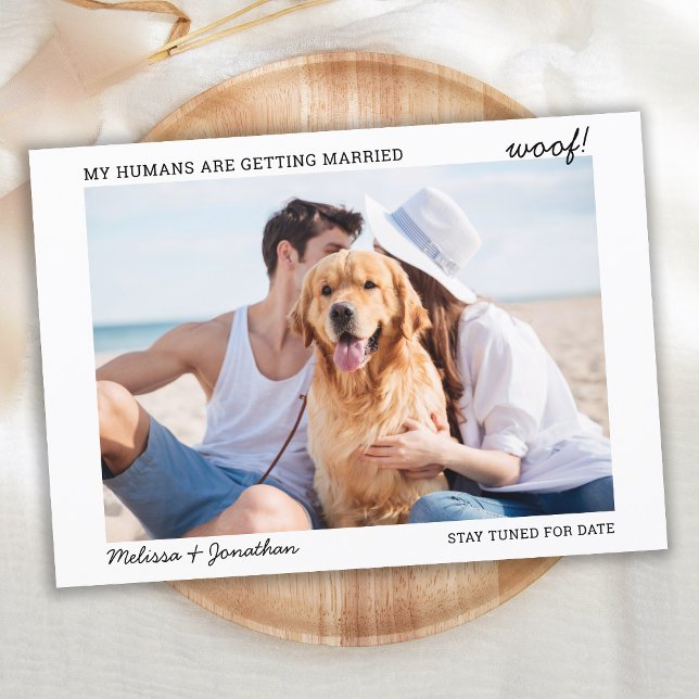 Anúncio Foto de Pet Moderna Cachorro Casamento Noivado (Criador carregado)