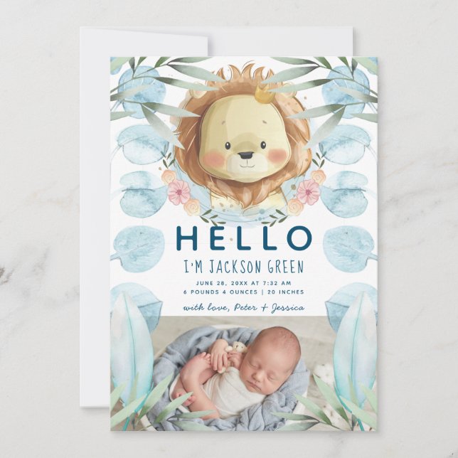 Anúncio Foto do Príncipe Lion Illustração (Frente)