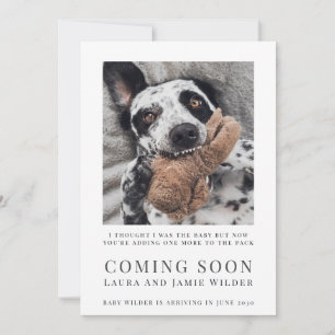 Anúncio Foto engraçada de cachorro Em Breve