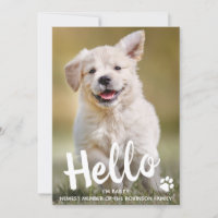 Foto Personalizada Olá Novo Cão Pet Puppy
