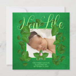 Anúncio Garota da Nova Vida