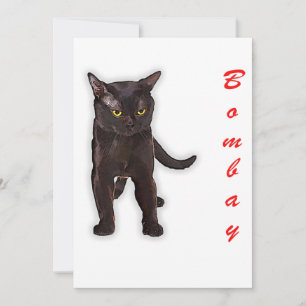 Anúncio Gato Bombay Engraçado do Japão Presente para o Pai