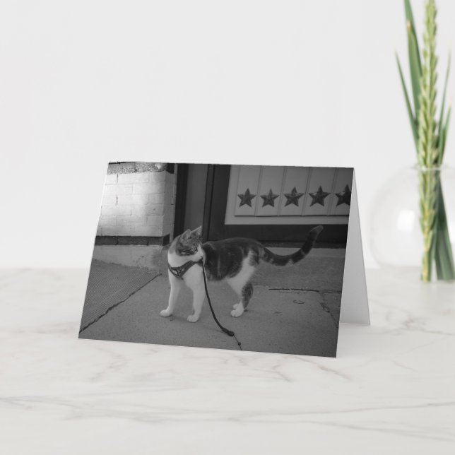 Anúncio Gato urbano Vibes notecard (Frente)