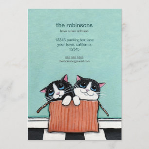 Anúncio Gatos em uma Caixa de Embalagem   Novo lançamento