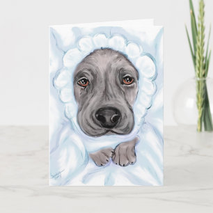 Anúncio Grandes Anuncias do Bebê Negro