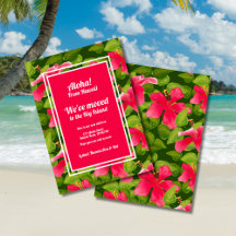 Hibisco Havaiano Rosa Tropical Aloha Nós nos Mudam