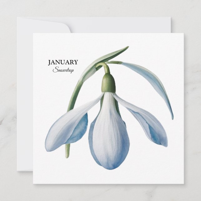 Anúncio Jan Snowdrop Bloom - Presente Personalizado (Frente)