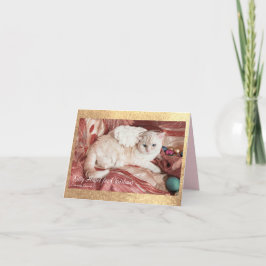 Anúncio Kitty Angel for Christmas