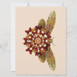 Anúncio Lanterna Fly e Butterfly Mandala