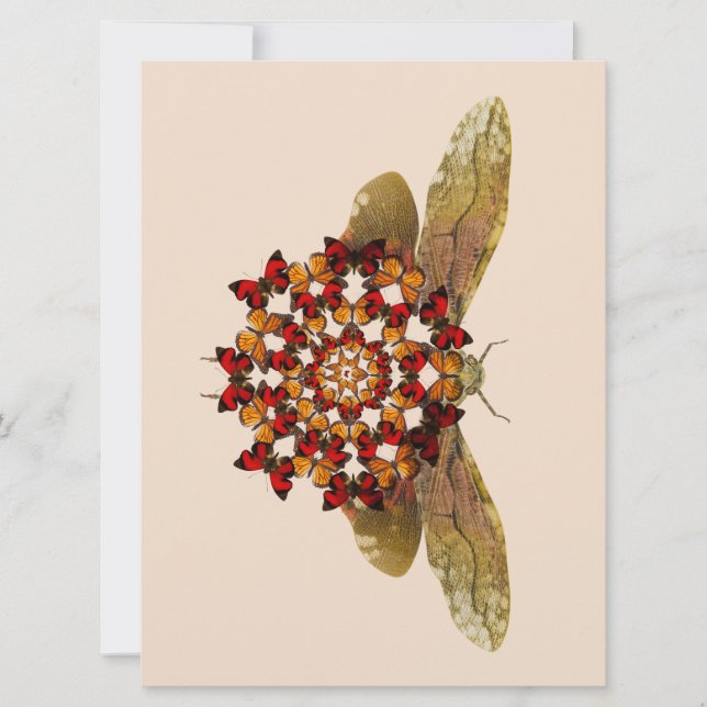 Anúncio Lanterna Fly e Butterfly Mandala (Frente)